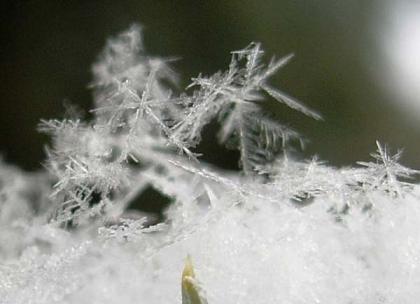 foto de nieve con macro 3